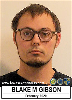 GIBSON, BLAKE MICHAEL <span class=text-danger>08/04/2020 04:30 pm</span>