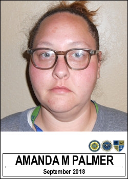 PALMER, AMANDA MARIE <span class=text-danger>08/19/2019 05:30 pm</span>