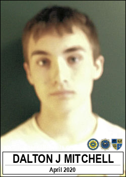 MITCHELL, DALTON JAMES <span class=text-danger>07/09/2020 12:00 pm</span>
